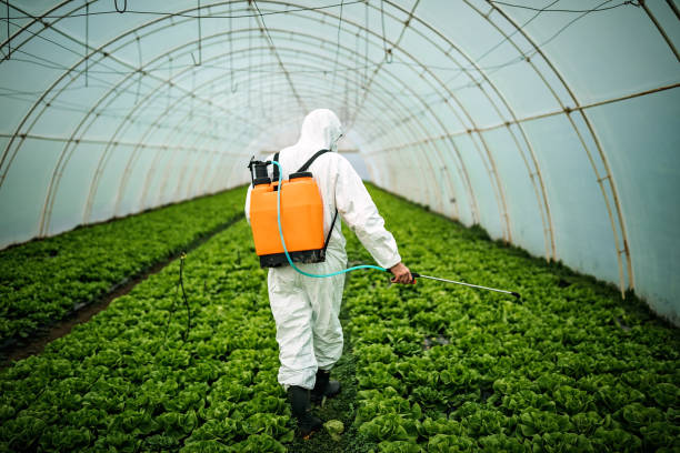 Reliable Bend, OR Pest Control Solutions