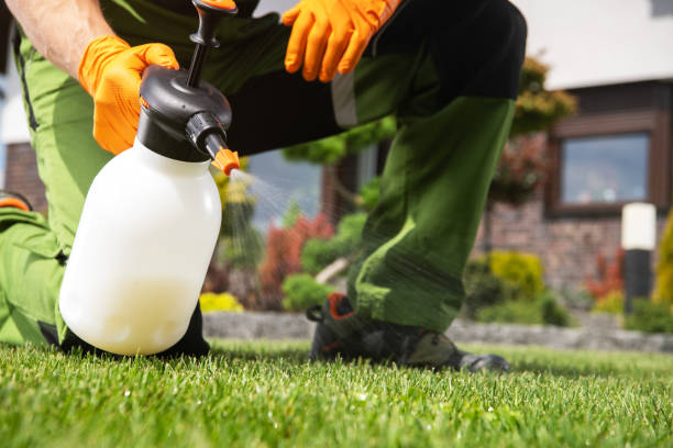 Best Affordable Pest Control Services  in Bend, OR