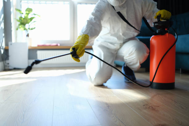 Flea Control Services in Bend, OR
