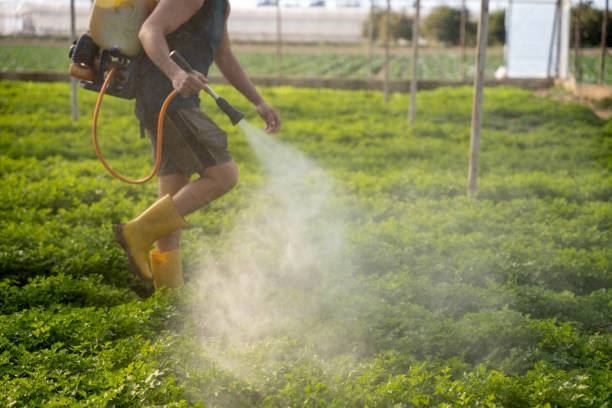 Best Local Pest Control Services  in Bend, OR