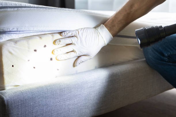 Best Wasp Removal Services  in Bend, OR